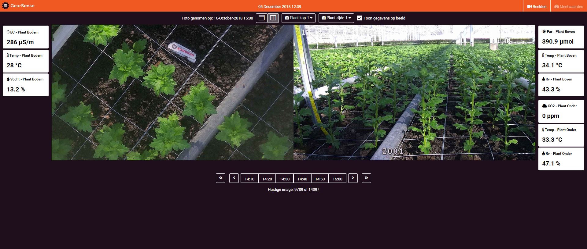 GearSense Interface Chrysanthemum